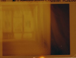 20240702LomoLobsterLomo110-9.jpg